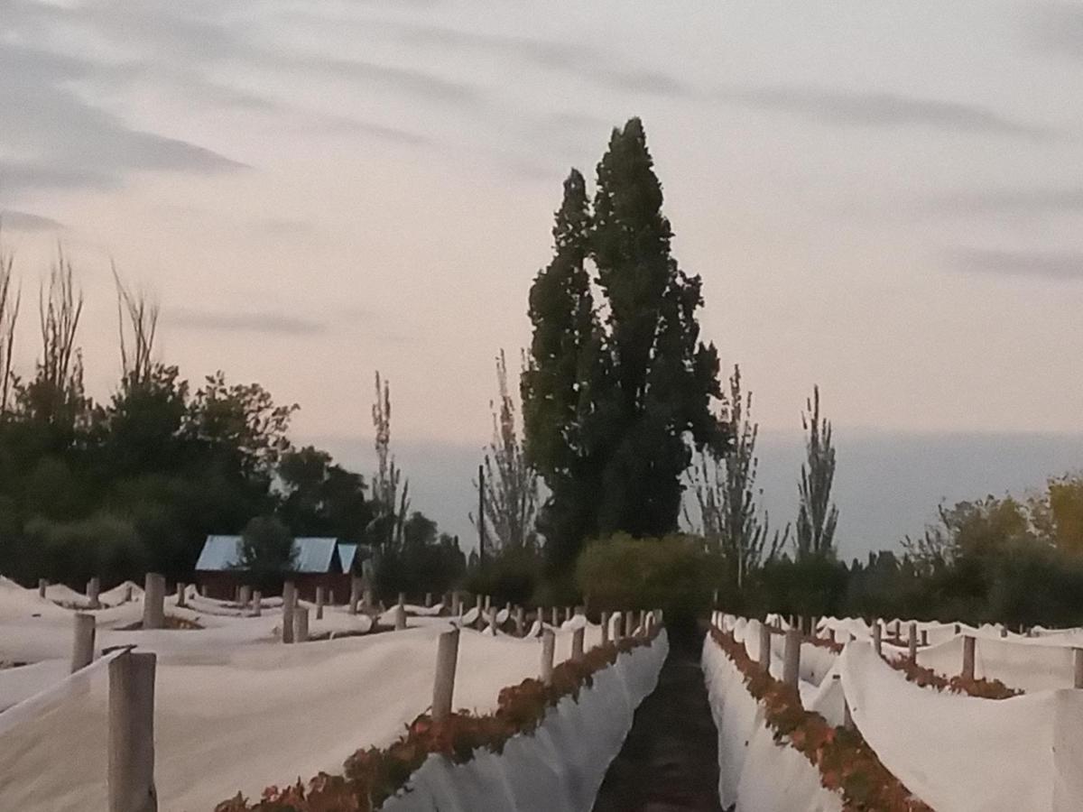 Апартаменты Entre Vinedos Лухан-де-Куйо Экстерьер фото