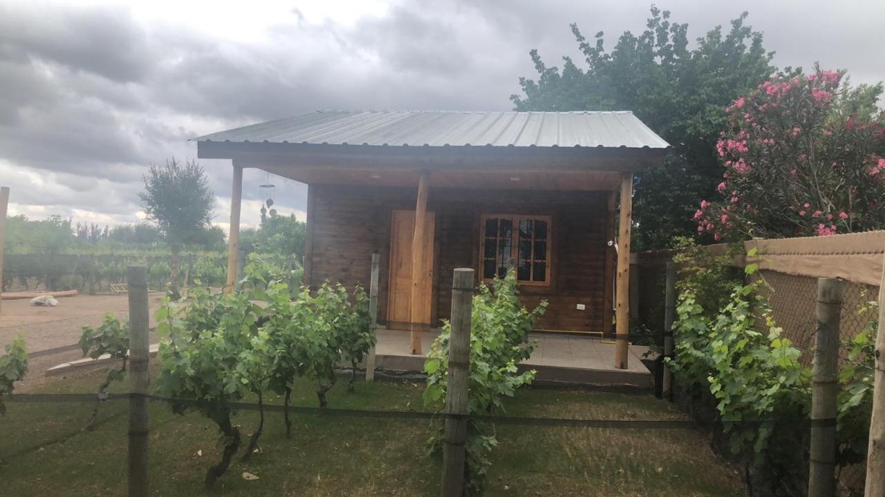 Апартаменты Entre Vinedos Лухан-де-Куйо Экстерьер фото