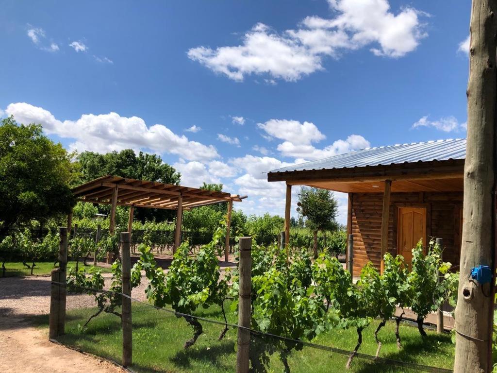 Апартаменты Entre Vinedos Лухан-де-Куйо Экстерьер фото