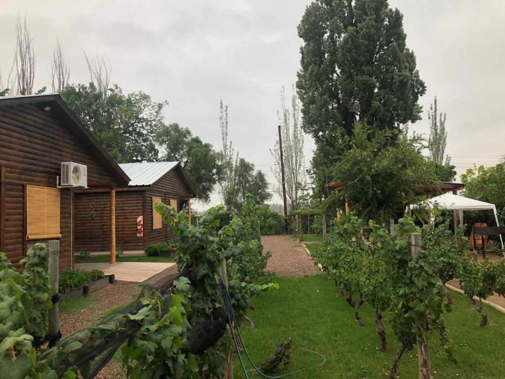 Апартаменты Entre Vinedos Лухан-де-Куйо Экстерьер фото